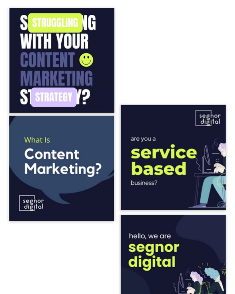 segnor-digital-marketing-agency-case-study-branding-website-3